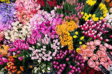 即时战略游戏《Empire Eternal》Steam页面开放 发行日期待定