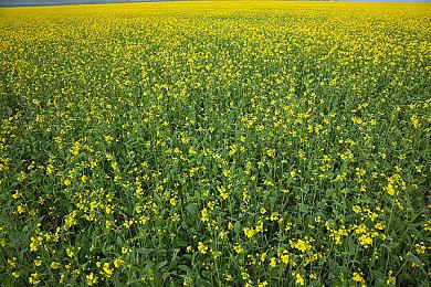 《杰克盒子的派对游戏包8》发行日确定 10月14日推出